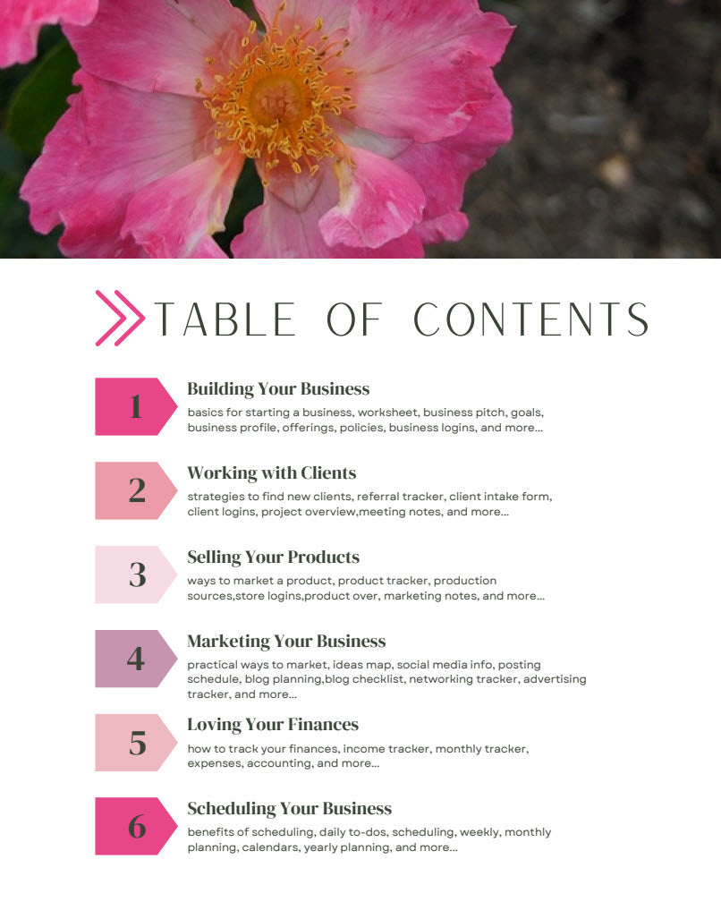 The COMPLETE Business Planner - all 6 Digital Downloads in ONE Digital Guide