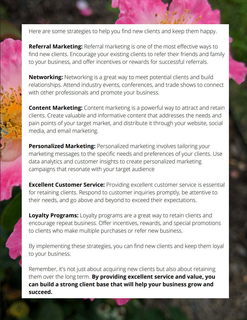 Business Planner - Part 2 - Working with Clients - Digital Guide