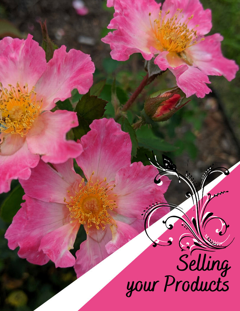 Business Planner - Part 3 - Selling Your Products - Digital Guide