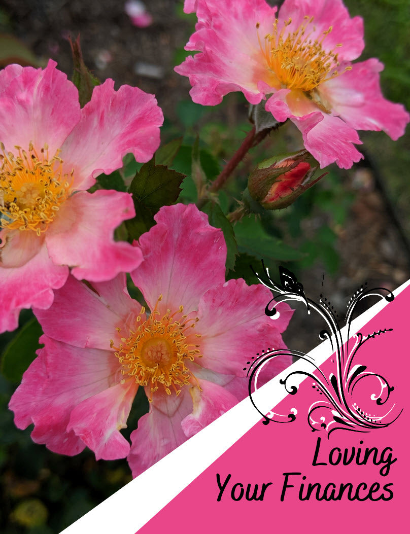 Business Planner - Part 5 - Loving Your Finances