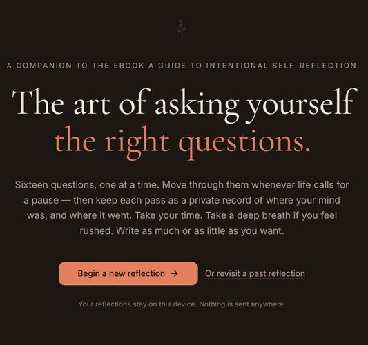 A Guide to Intentional Self-Reflection - The art of asking yourself the right questions.